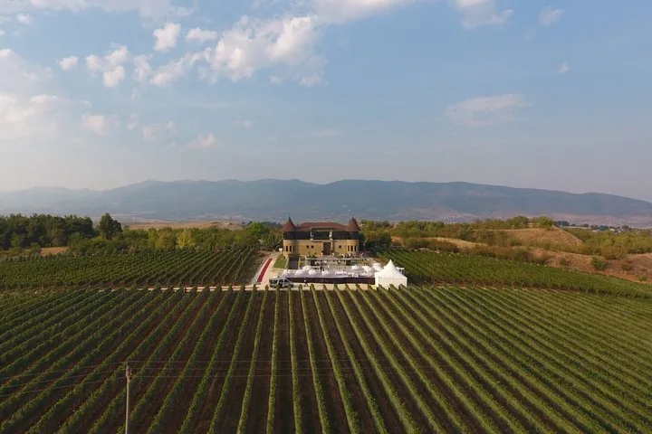 An expansive vineyard leads to a beautiful estate under a clear sky.